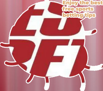 Best bets