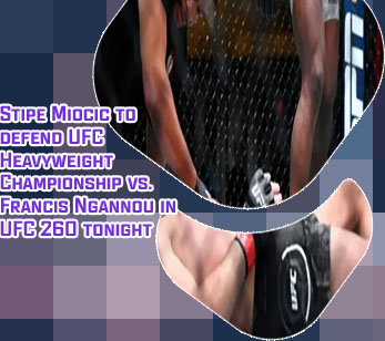 Stipe miocic ngannou odds